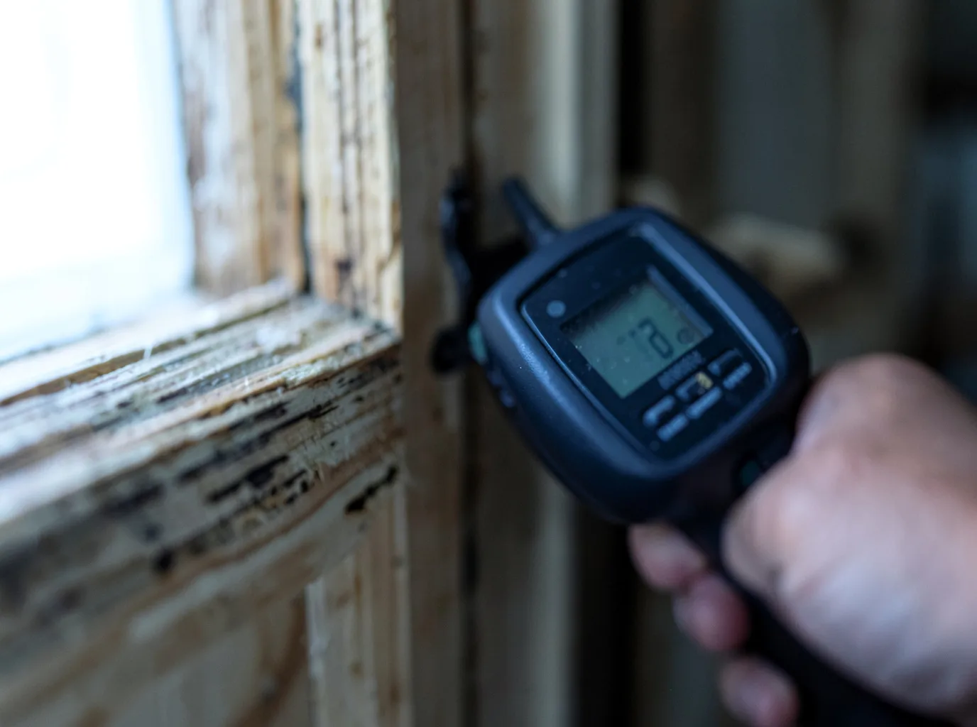 Moisture Inspection And Documentation in La Salle, MN